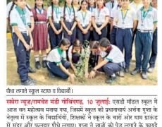 TREE-PLANTATION